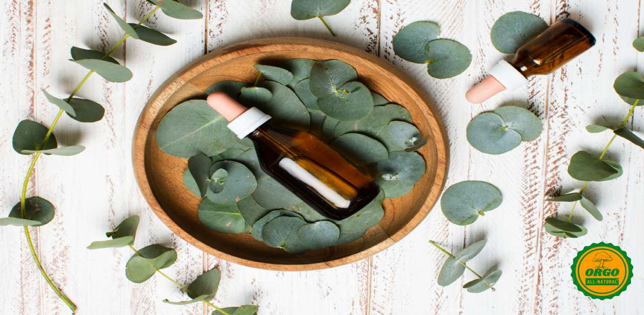 Eucalyptus Oil