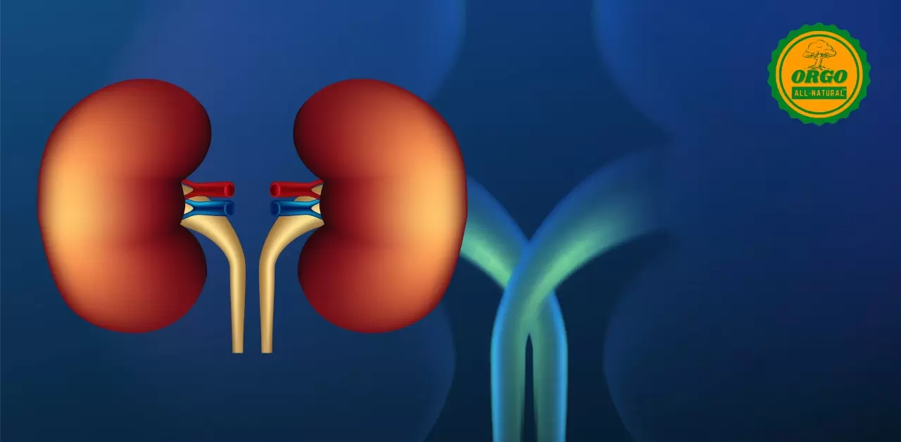 kidney stones treatment