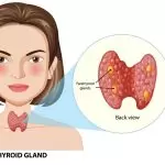 thyroid gland levels