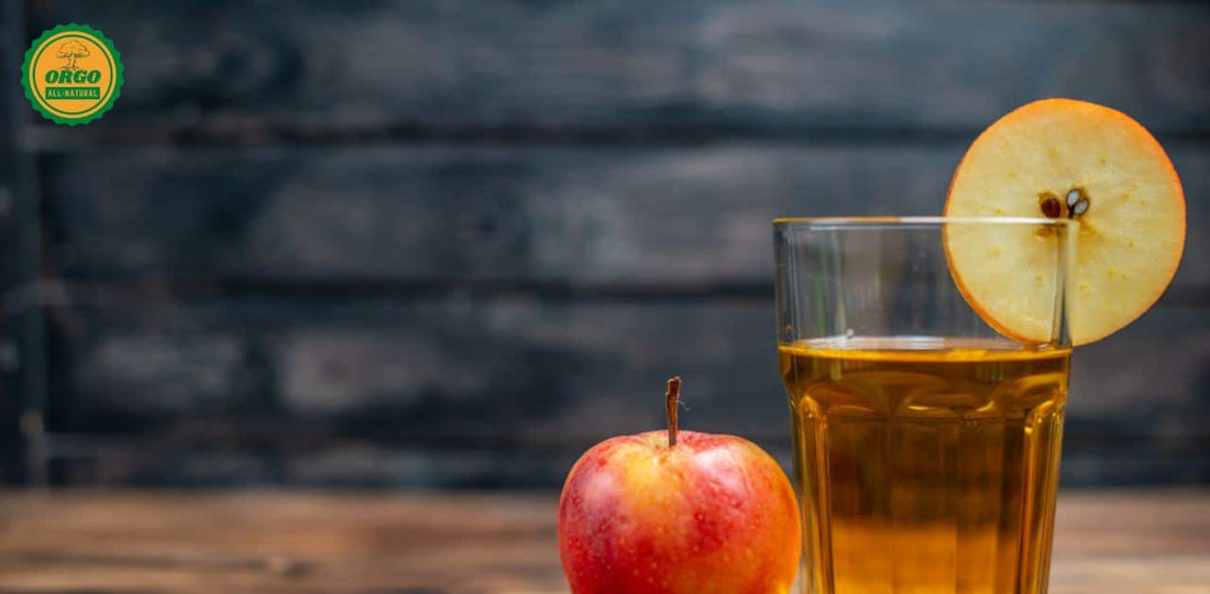 Best Apple Cider Vinegar Brands in India