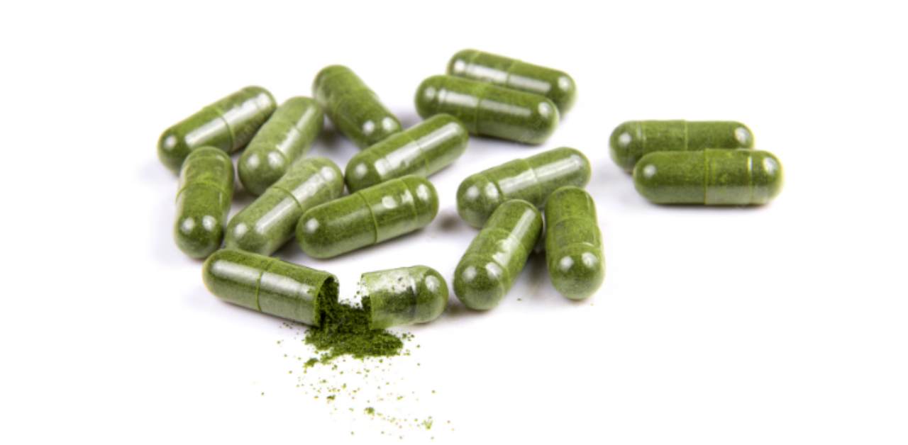 Moringa Capsules Benefits for Men and Women