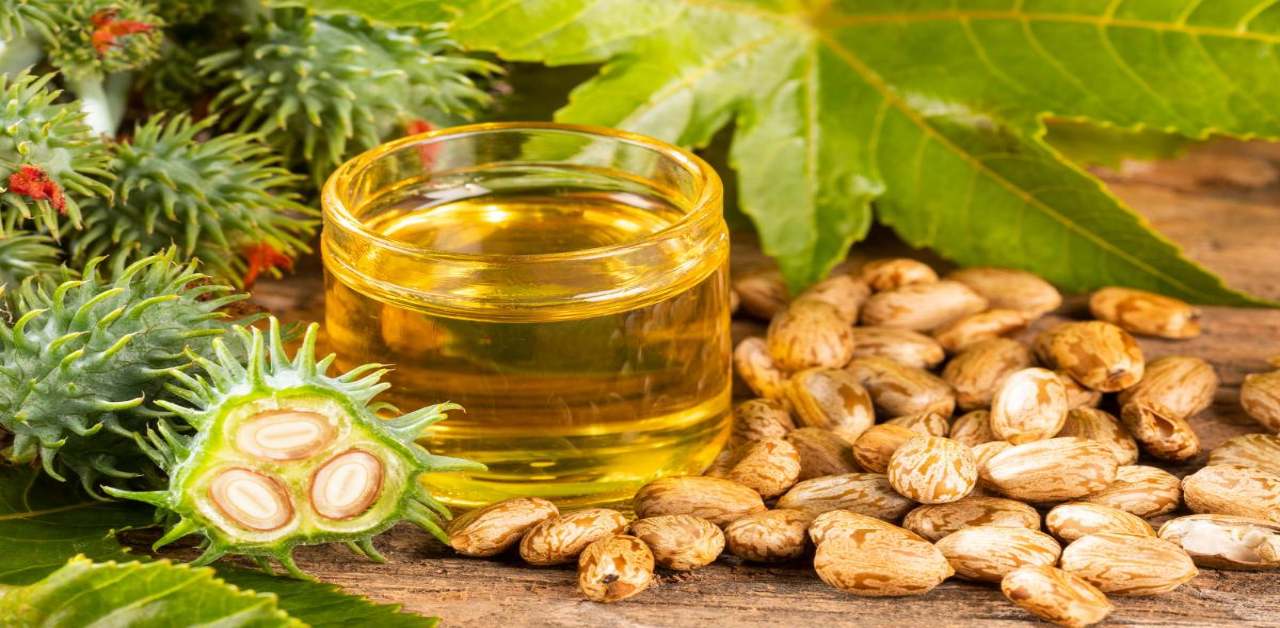 Castor Oil Benefits
