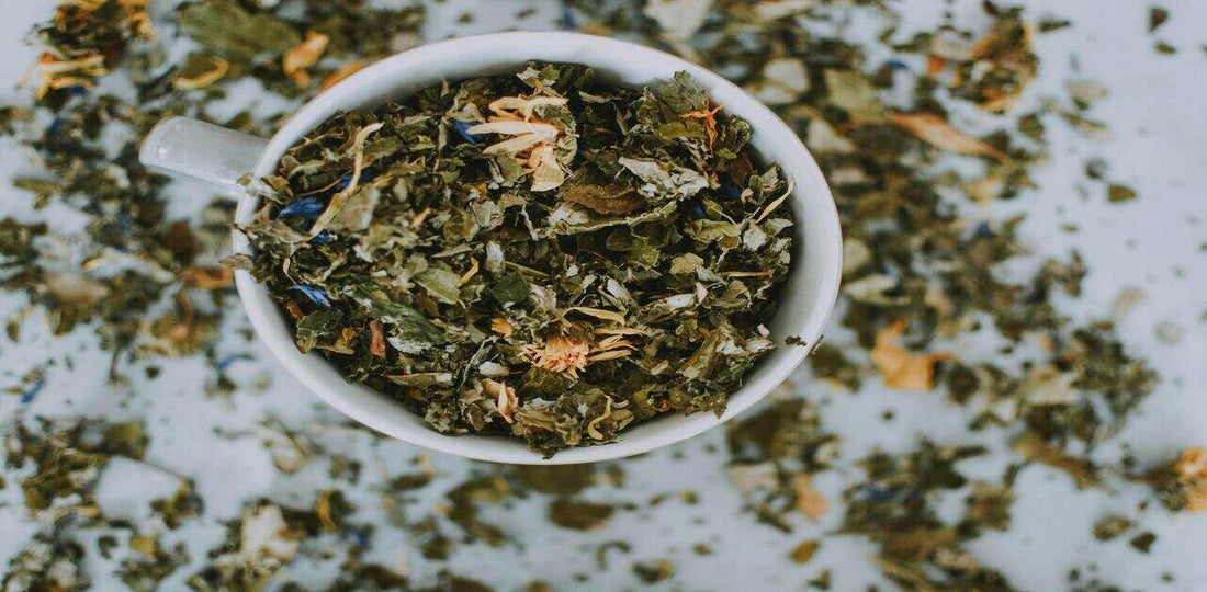 10 Best Green Tea Brands in 2025