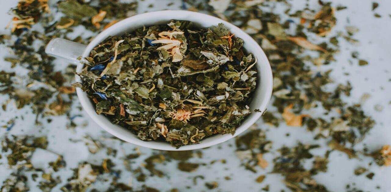 10 Best Green Tea Brands in 2025