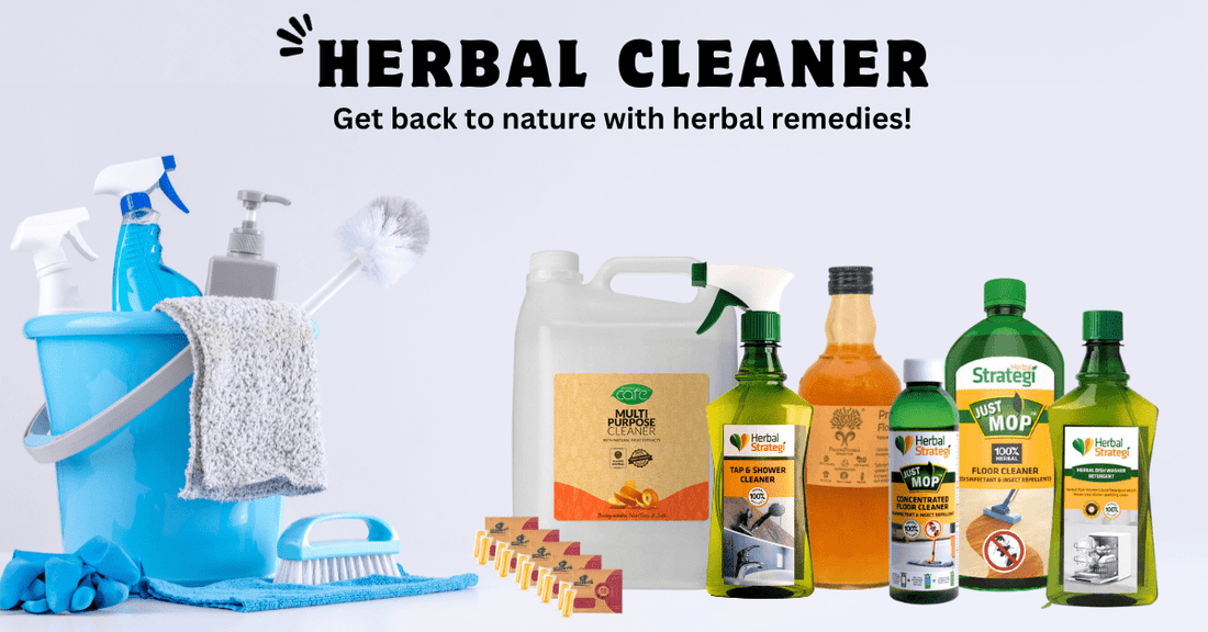 Switch to Eco-Friendly Herbal Cleaners