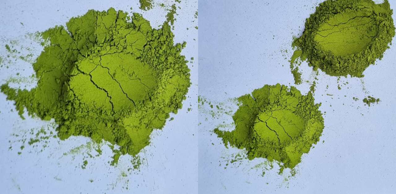 Moringa – The Ultimate Guide: Prevent 300 + diseases 