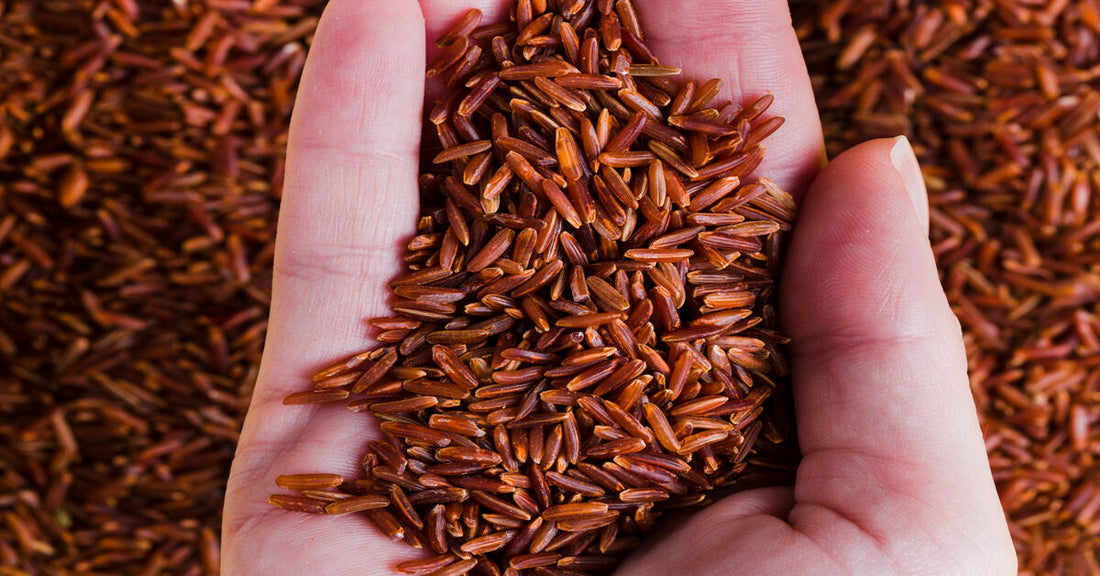 Health Benefits of Red Rice