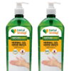 Product: Herbal Strategi Gel Hand Wash (Pack of 2 x 500 ml)