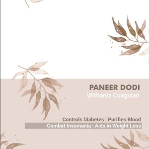Product: Namhya 100% Natural Paneer Dodi
